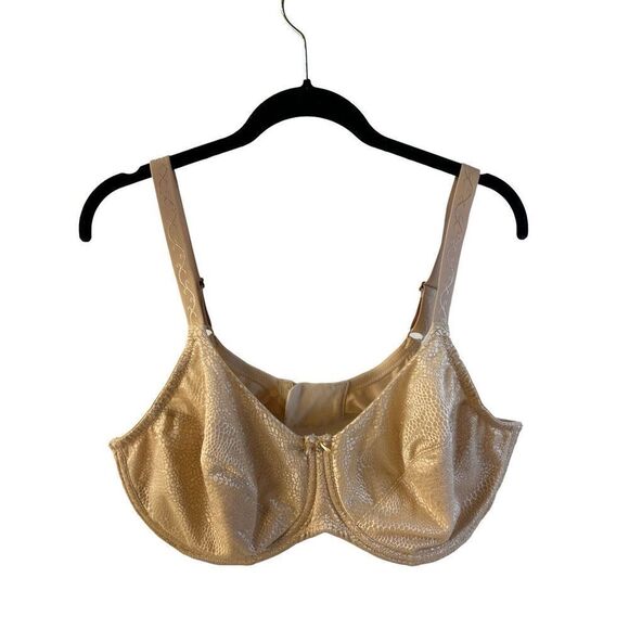 Lilyette 40D Wire Bra Biege shiny mesh 3 hooks adj strap - Picture 1 of 6